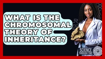 What Is The Chromosomal Theory Of Inheritance? - Science Through Time