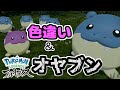 4時間色厳選のやり方間違ってたけど無事にオヤブンと色違いのタマザラシを捕まえて発狂する男【ごまちゃん切り抜き】