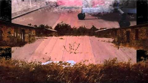 tarantula (stop motion)