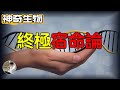 終極宿命論，靠基因測序你的一生。科技還是災難