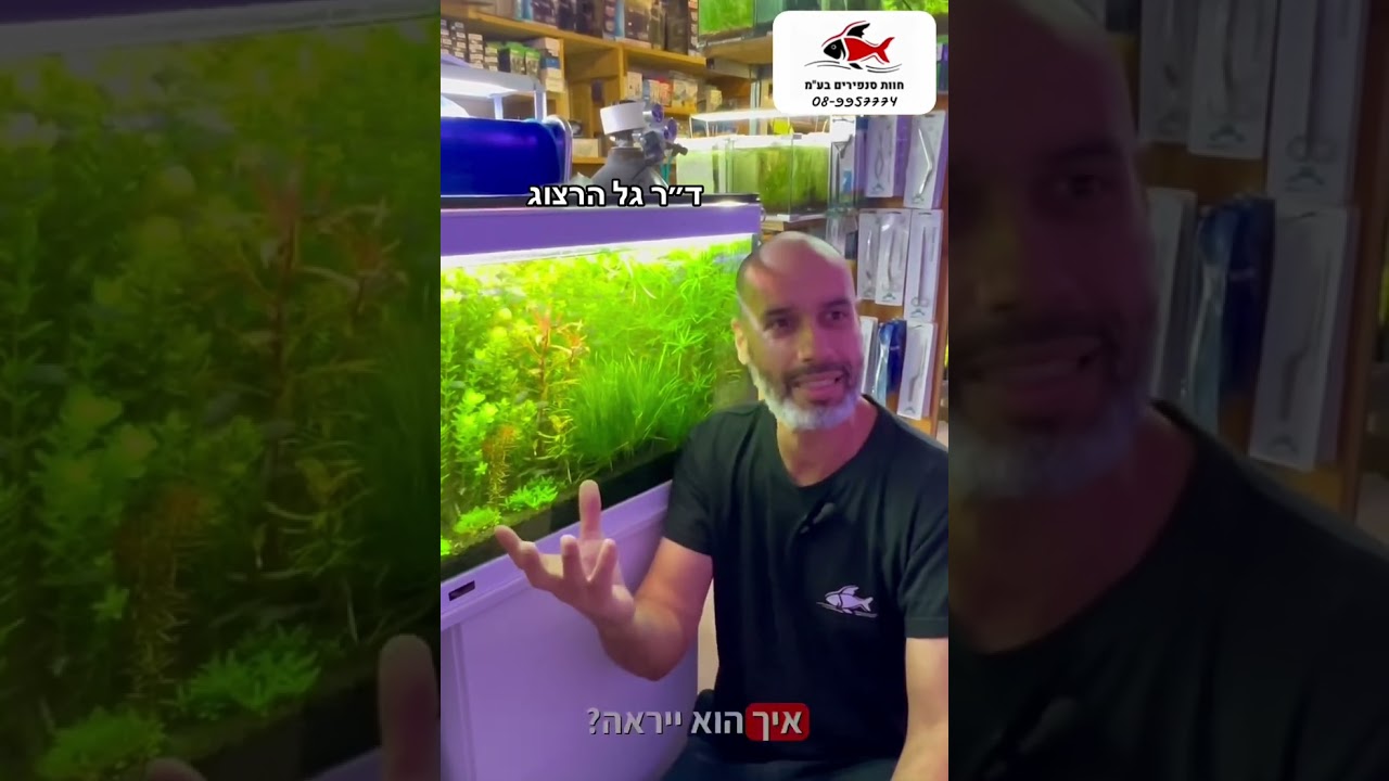 למה דגים מתלהקים ואיך? מוזמנים לצפות בסרטון ההסבר… 08-9957774 snapirimfarm.com