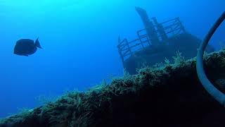 Solo Scuba in 80 feet.   Good vis - terrible shooting