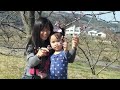 年下フィリピン妻の日本移住山小屋暮らし24時間365日ライブ配信中!(夜の部)