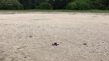 Realacc X6R first flight test.