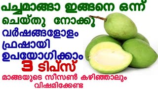 പച്ചമാങ്ങാ ഇങ്ങനെ ഒന്ന് ചെയ്തു  നോക്കൂ,വർഷങ്ങളോളം ഫ്രഷായി ഉപയോഗിക്കാം