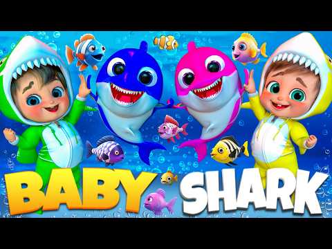 Baby Shark Plays Hide and Seek - Nursery Rhymes & Kids Songs | Super Luca #babyshark #bingodog