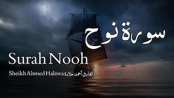 Surah Nooh سورة نوح - Sheikh Ahmed Halawa القارئ أحمد حلاوة - Quran Voice