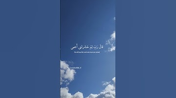 قرآن كريم 🥀🤍 تلاوة جميلة #قرآن #تلاوات #اسلام_صبحي #quran #tilawatequran #دينيه #islamic #allah