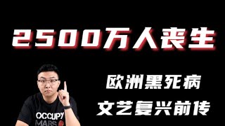 2500万人死亡，欧洲文艺复兴前传
