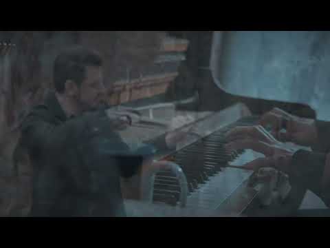 Lebensessenz - Araukarien (Ft. M. Borgonhoni)