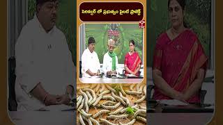 సెరికల్చర్ లో ప్రభుత్వం పైలట్ ప్రాజెక్ట్ | T-SAT