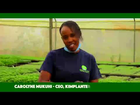 KIMPLANTER NURSERIES VIDEO