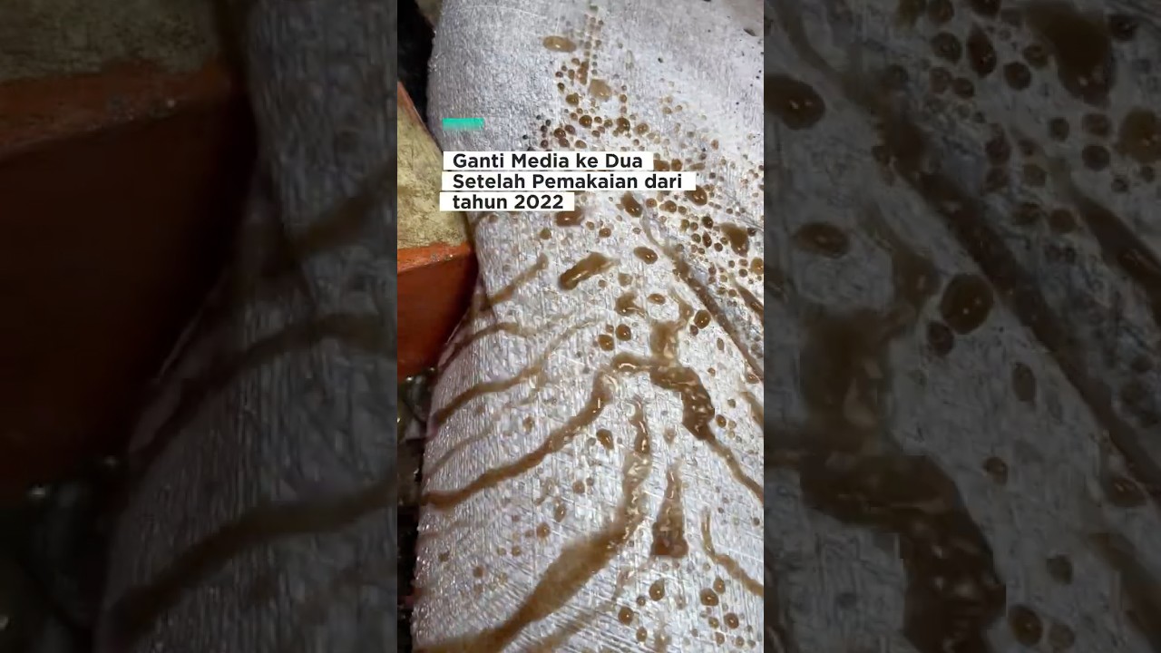 Pergantian media ke 2 pemakaian Filter Air HYDRO sejak 2022