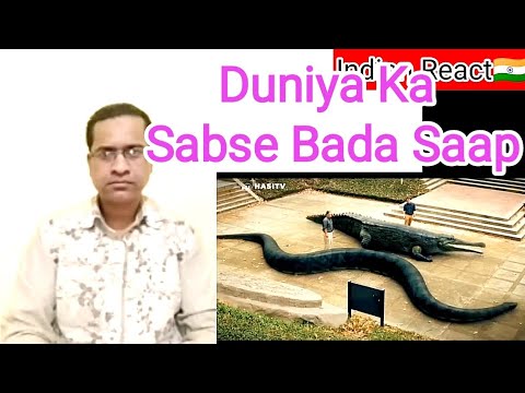 Duniya ka Sabse bada Saap🐍 - YouTube