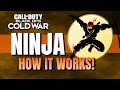 How Ninja Works In Black Ops Cold War | Call of Duty Perk Breakdown