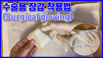 수술용 장갑 끼는 방법 (Surgical Gloving)