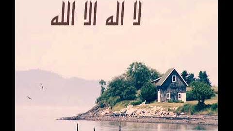 تلاوة مؤثرة للشيخ محمد المحيسني.