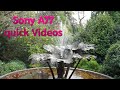 Sony A77 quick video