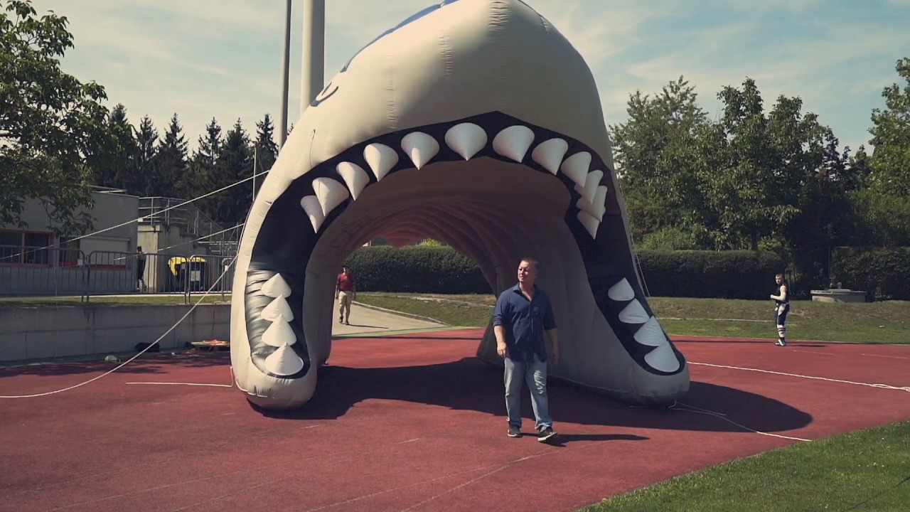 We are one - Steelsharks