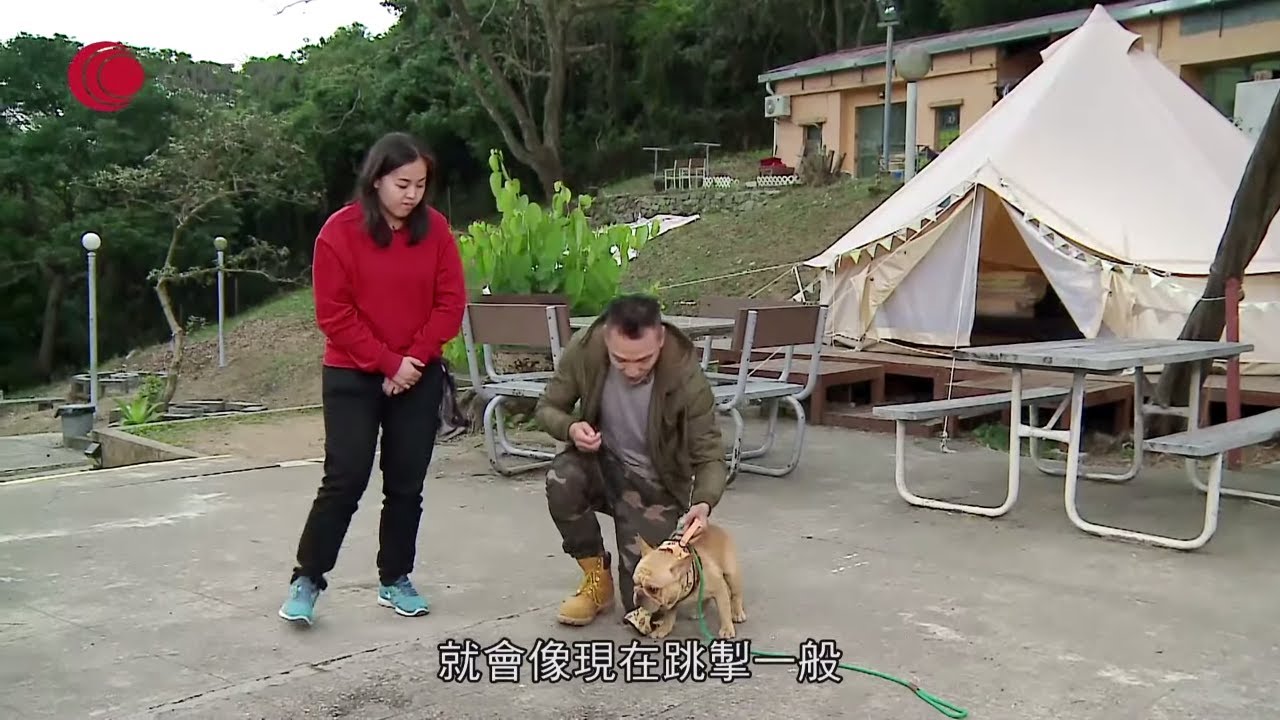 法虎跳掣發惡驚青主人掂都唔敢掂靠eric Ko特訓獸醫教狗狗急救心外壓膠樽自製 人工呼吸 工具備用 煉狗術師s2 Ep9 1 Youtube 法虎跳掣發惡驚青主人掂都唔敢掂靠eric Ko特訓獸醫教狗狗急救心外壓膠樽自製 人工呼吸 工具備用 煉狗術師s2 Ep9 1 Youtube