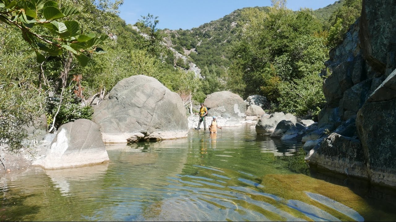 Magico Pavone - Toscana - Eraldo Meraldi