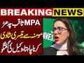 MPA Saqib Chadhar Wants Third Marriage with Momina Iqbal | Actress Lawyer Reveals Shocking Details