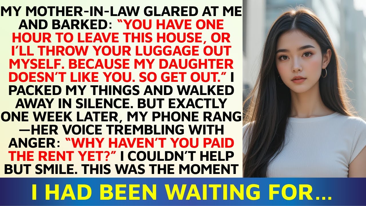 My MIL Gave Me 1 Hour to Leave: ‘My Daughter Hates You’—But the Next Day She Regretted It| Storytime