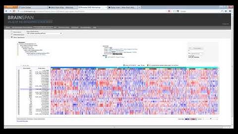 Webinar: Using the Allen Brain Atlas resources (October 2012)