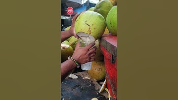 Testing the Best Machetes for Opening Coconuts