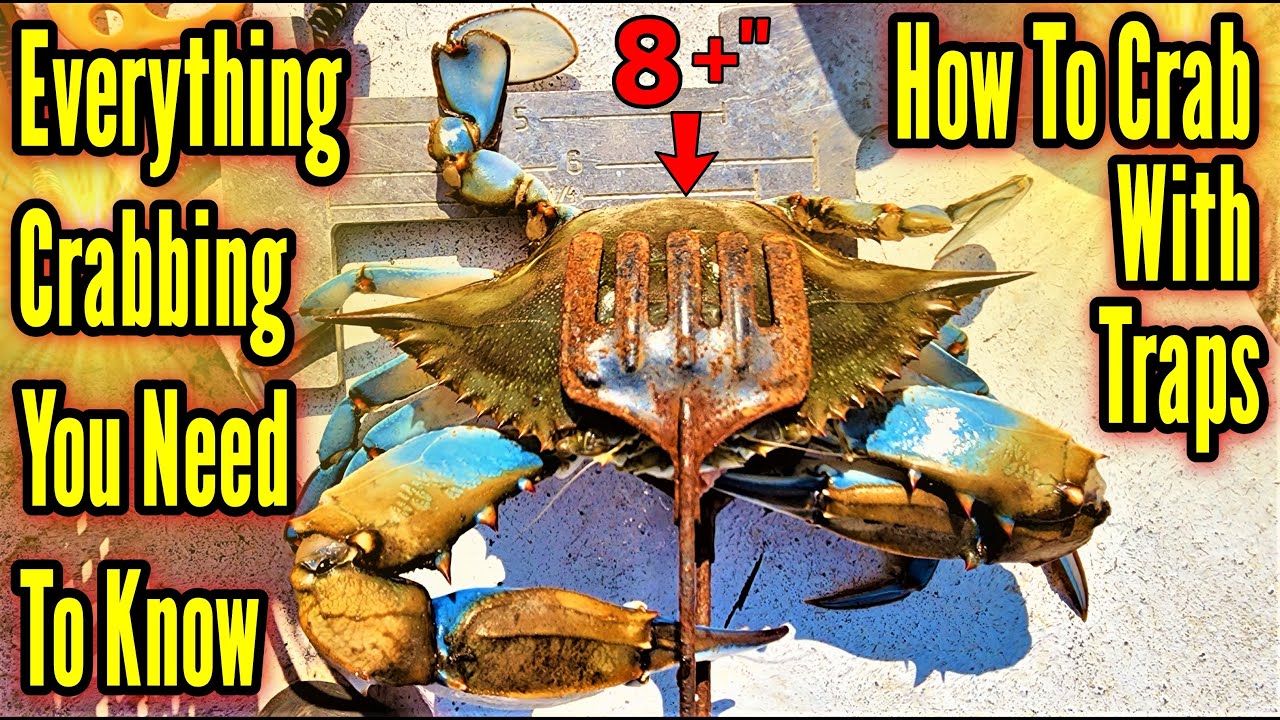 Crabbing with Crab Traps How To! Everything You Need To Know YouTube