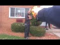 Man Gets Tased By Cop After He Ignores Multiple Commands