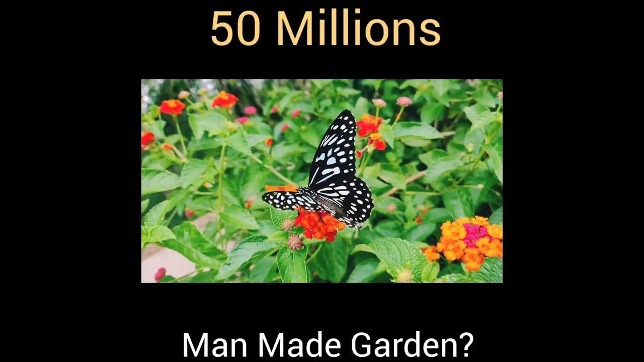 500 Crore Same Garden 🏡 gajab youtubeshorts Shorts 