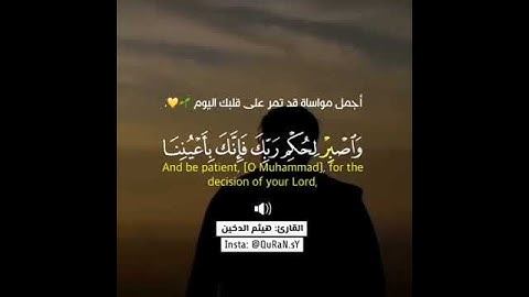 القارئ هيثم الدخين | حالات واتس اب