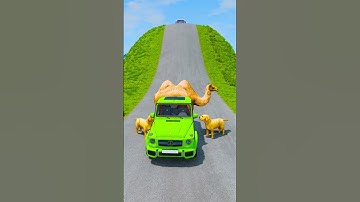 Big & Small Cars & Bus VS Camel & 2 Dogs - BeamNG.Drive