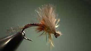 Twisted Hackle Emerger fly tying video by Shane Stalcup