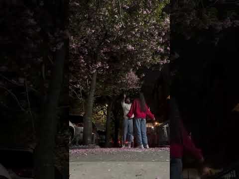 ولما تجيبلي شوية ورد ببقا طايرة ومش علارض ملكة الاحساس اكسبلور