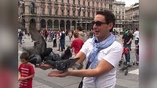 Съемочная группа «Руссо Туристо» покормила голубей в центре Милана Съемочная группа «Руссо Туристо» покормила голубей в центре Милана