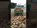 ELCA Industries-7812845699