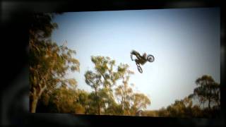 Motorcycle Dealers***