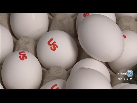 Egg prices spike after mainland recall