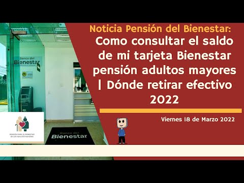 Como consultar el