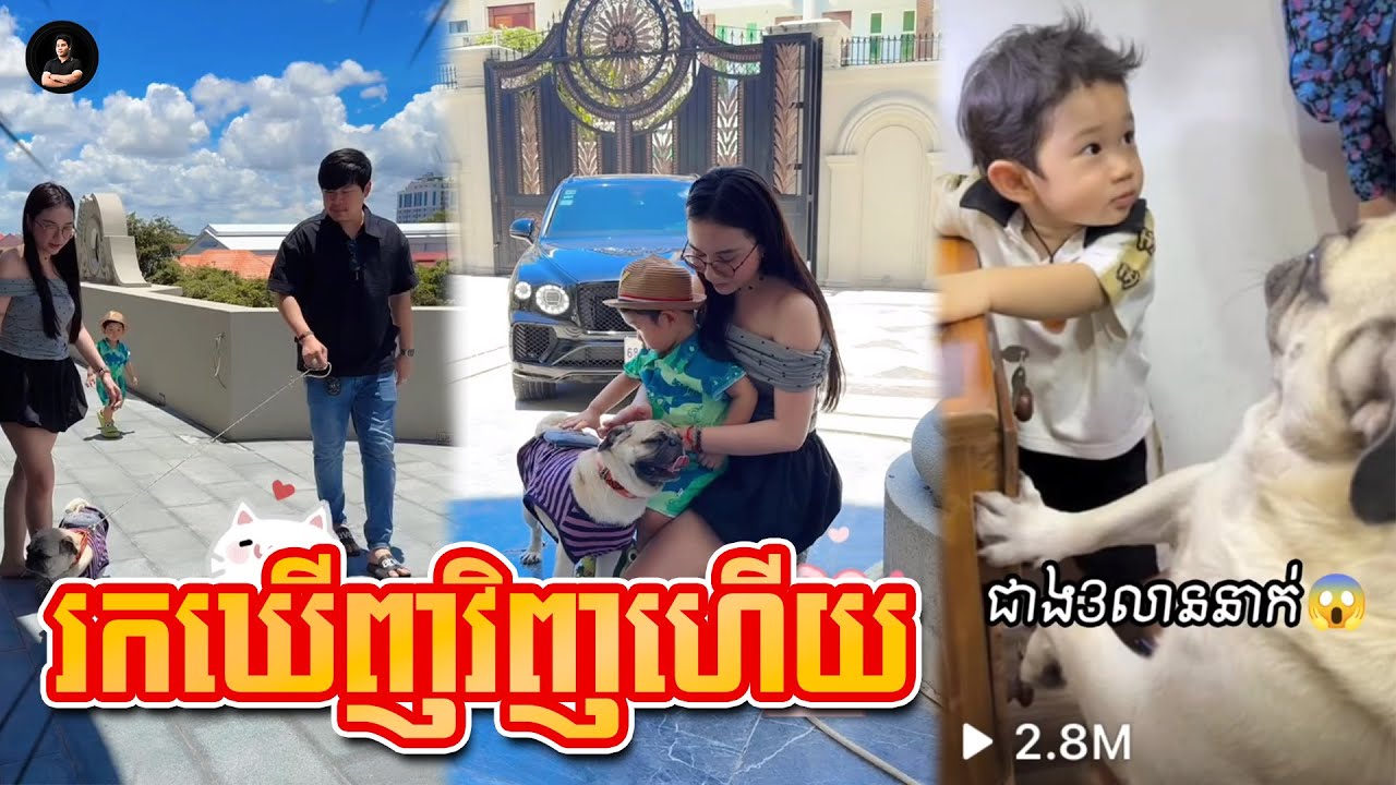 រកឃើញអា Lion វិញហើយ 😍