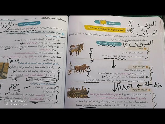 مصر بكل التفاصيل: دليل المبتدئين لأول زيارة لك - وسائل النقل في مصر
