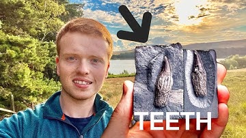 Jurassic COAST Fossil Hunting + Ichthyosaur Teeth! | Fossil Hunter