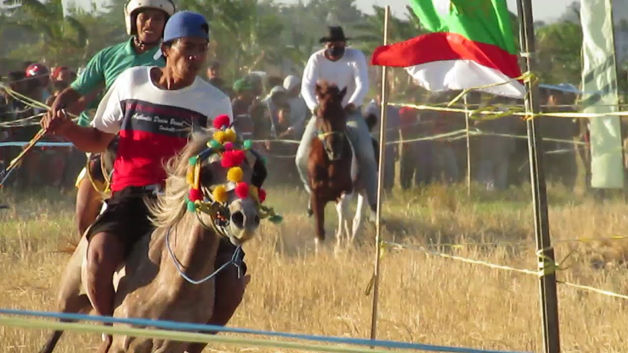 Video Pacuan Kuda Joki Kampung Hd Youtube