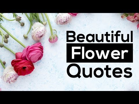 Flower Quotes: Top 16 Beautiful Flower Quotes