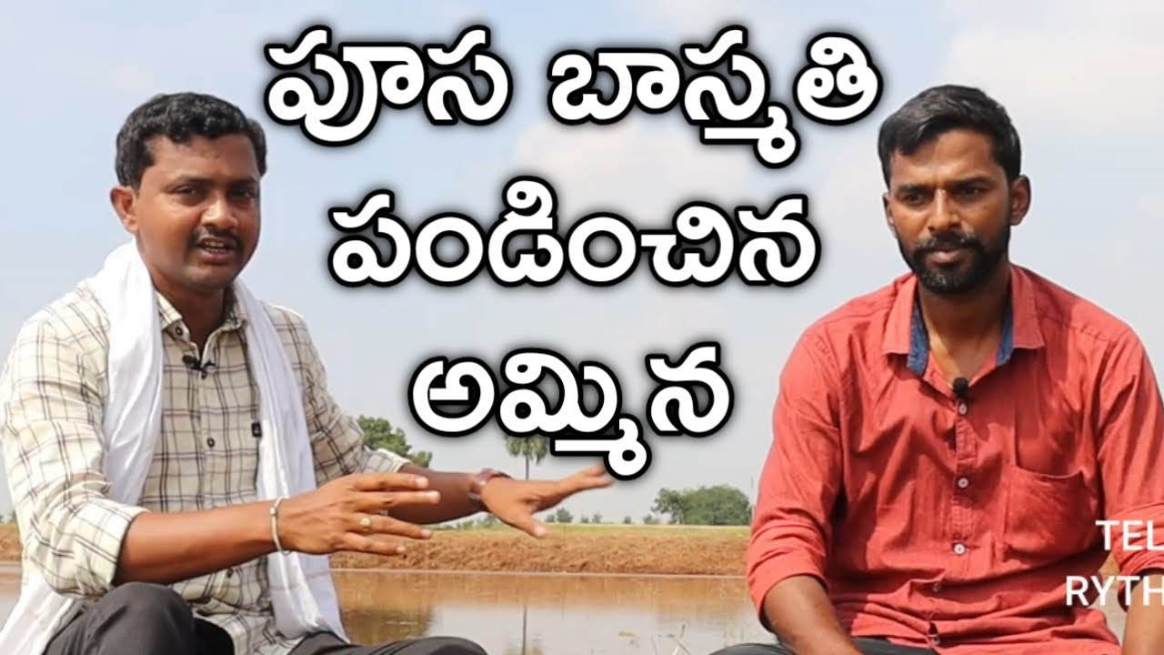 తొలిసారి బాస్మతి వడ్లు పండించాను | Basmati Rice Cultivation | రైతు బడి