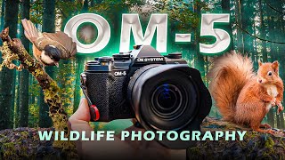 OM System OM-5 for Wildlife Photography