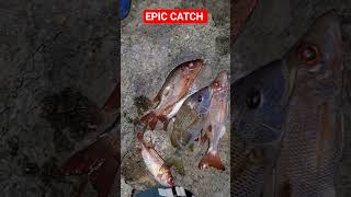 #EPIC #catch unbelievable off shore fishing