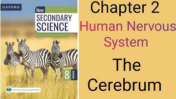 New Edition Secondary Science class 8 Chapter 2 Topic The Cerebrum Explanation solved Test Yourself
